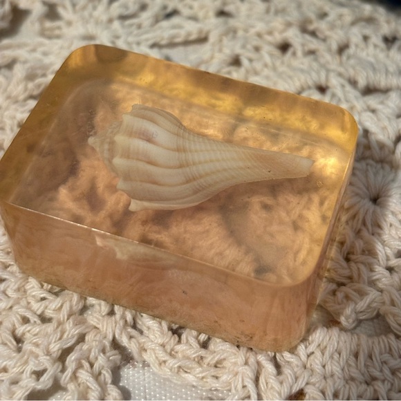Vintage Seashells in Resin Paperweights - Picture 4 of 13